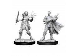 Magic: The Gathering Miniatures: Rowan & Will Kenrith